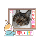うちの子4にゃんスタンプ日常（個別スタンプ：25）