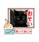 うちの子4にゃんスタンプ日常（個別スタンプ：28）