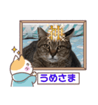 うちの子4にゃんスタンプ日常（個別スタンプ：32）