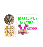 うちの子4にゃんスタンプ日常（個別スタンプ：34）