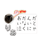 うちの子4にゃんスタンプ日常（個別スタンプ：36）