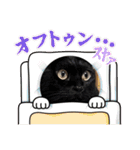 うちの子4にゃんスタンプ日常（個別スタンプ：37）