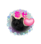 うちの子4にゃんスタンプ日常（個別スタンプ：38）