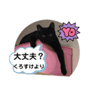 うちの子4にゃんスタンプ日常（個別スタンプ：39）