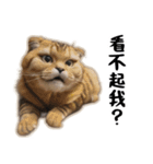 猫は騒々しい-可愛い笑顔（個別スタンプ：19）