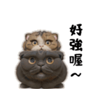 猫は騒々しい-可愛い笑顔（個別スタンプ：24）