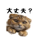 猫は騒々しい-可愛い笑顔 - JP（個別スタンプ：23）