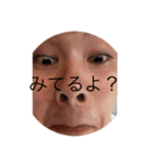 ぺー店長（個別スタンプ：5）