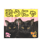 うちの子4にゃんスタンプ日常2（個別スタンプ：22）