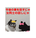 うちの子4にゃんスタンプ日常2（個別スタンプ：28）