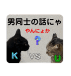 うちの子4にゃんスタンプ日常2（個別スタンプ：33）