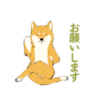 ヨガを嗜む柴犬さん（個別スタンプ：14）