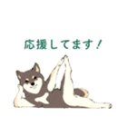 ヨガを嗜む柴犬さん（個別スタンプ：23）