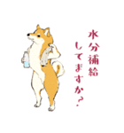 ヨガを嗜む柴犬さん（個別スタンプ：38）