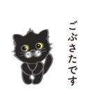 可愛い黒猫のボブ（個別スタンプ：14）