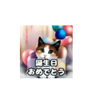 猫のスタンプ 32-36（個別スタンプ：18）