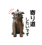 狛犬がいっぱい 全身編 【敬語】（個別スタンプ：39）