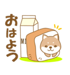 わんこ日和(茶しば)-toYvu-（個別スタンプ：1）