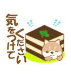 わんこ日和(茶しば)-toYvu-（個別スタンプ：24）