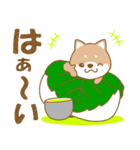 わんこ日和(茶しば)-toYvu-（個別スタンプ：29）