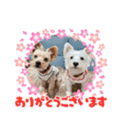 ムックとトニー＆妹（個別スタンプ：5）