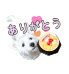 ムックとトニー＆妹（個別スタンプ：6）