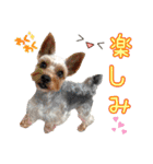 ムックとトニー＆妹（個別スタンプ：9）