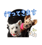 ムックとトニー＆妹（個別スタンプ：13）