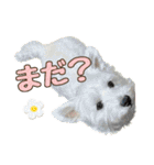 ムックとトニー＆妹（個別スタンプ：16）