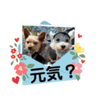 ムックとトニー＆妹（個別スタンプ：22）