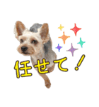 ムックとトニー＆妹（個別スタンプ：23）