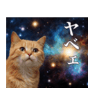 架空宇宙猫（個別スタンプ：2）