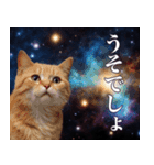 架空宇宙猫（個別スタンプ：3）