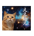 架空宇宙猫（個別スタンプ：4）