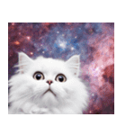 架空宇宙猫（個別スタンプ：9）