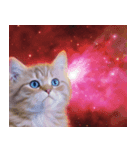 架空宇宙猫（個別スタンプ：21）