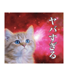 架空宇宙猫（個別スタンプ：22）
