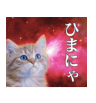 架空宇宙猫（個別スタンプ：23）
