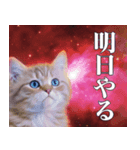 架空宇宙猫（個別スタンプ：24）