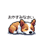 日常 ドット絵 コーギー 40種 犬 イヌ DOG（個別スタンプ：2）