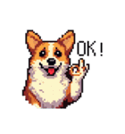 日常 ドット絵 コーギー 40種 犬 イヌ DOG（個別スタンプ：4）