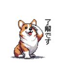 日常 ドット絵 コーギー 40種 犬 イヌ DOG（個別スタンプ：8）