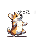 日常 ドット絵 コーギー 40種 犬 イヌ DOG（個別スタンプ：11）