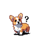 日常 ドット絵 コーギー 40種 犬 イヌ DOG（個別スタンプ：14）