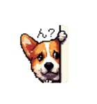 日常 ドット絵 コーギー 40種 犬 イヌ DOG（個別スタンプ：17）