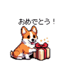 日常 ドット絵 コーギー 40種 犬 イヌ DOG（個別スタンプ：19）