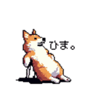 日常 ドット絵 コーギー 40種 犬 イヌ DOG（個別スタンプ：21）