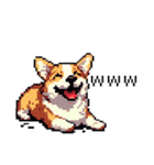 日常 ドット絵 コーギー 40種 犬 イヌ DOG（個別スタンプ：22）