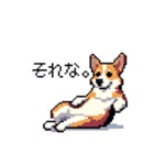 日常 ドット絵 コーギー 40種 犬 イヌ DOG（個別スタンプ：27）