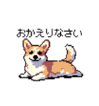 日常 ドット絵 コーギー 40種 犬 イヌ DOG（個別スタンプ：29）